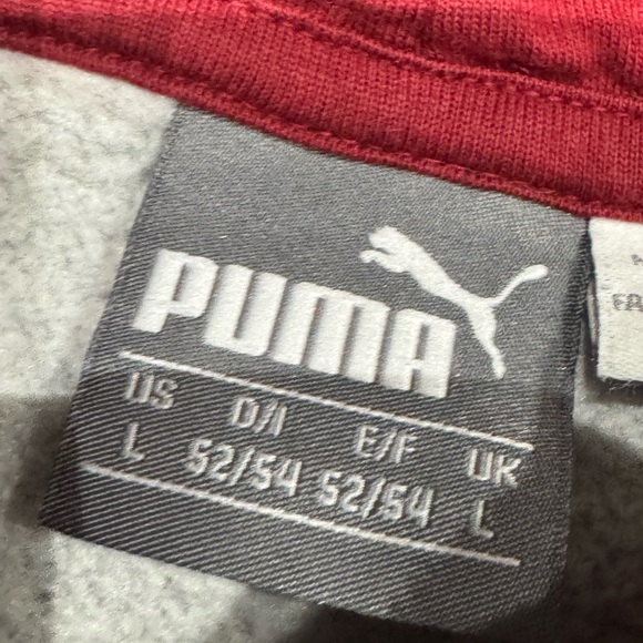 #484 Puma Men's Charcoal Hoodie with Red Highlights - Picture 8 of 13